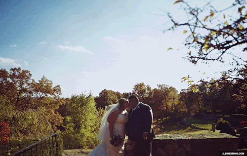 wedding,kiss,cinemagraph,sky,wind,trees,leaves,michigan,fall colors,clarkston
