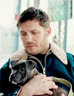 tom hardy,love,with,heart,dogs,tom,times,hardy,melted