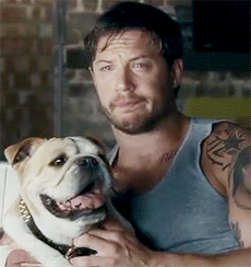 tom hardy,love,with,heart,dogs,tom,times,hardy,melted