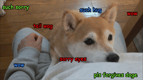 please,forgive,doge,meme,wow,cool,applause,sorry,apologize