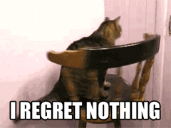 regret nothing,cat spinning on chair,i regret nothing,spinning,cat