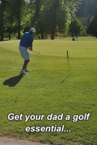 fathersday,golf,giftdad