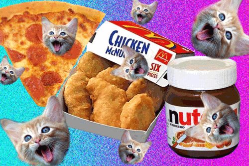 nutella,chicken mcnuggets,chicken nuggets,weird,pizza,cats
