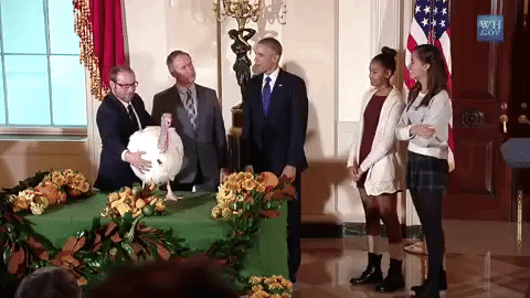 thanksgiving,sasha,malia,turkey pardon,malia obama,sasha obama,malia and sasha