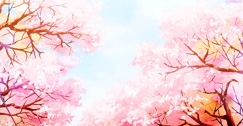 cherry blossom,sakura,anime,science
