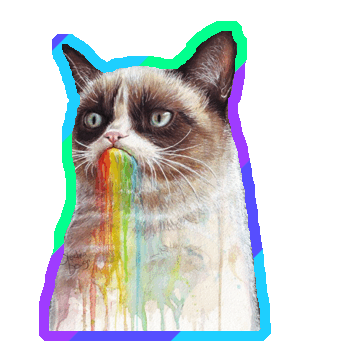 grumpy cat,transparent,rainbow,grumpy