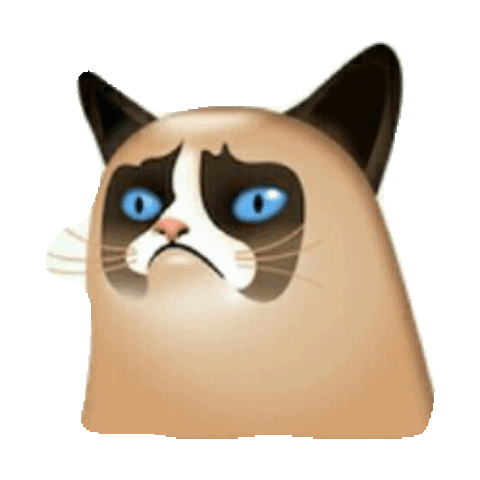 transparent,grumpy,grumpy cat