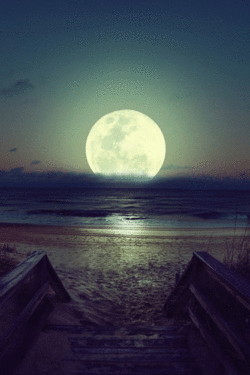 moon,full moon,moonlight,trip,moon reflection