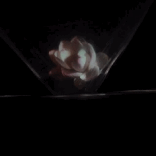 flower,diary,hologram,made with tumblr