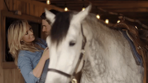 horses,country music,clare dunn