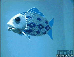 fish,swimmingly,animals,science,swimming,robots,swim,calm,robot fish