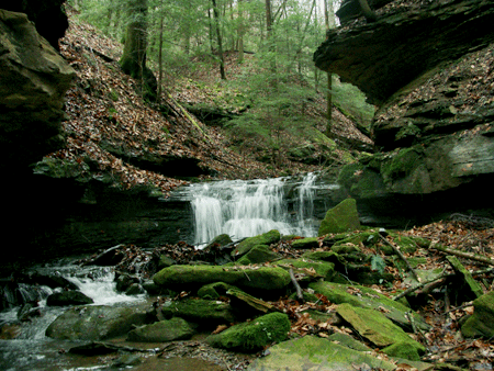 stream,waterfall animation,watson,creek,hwatson,hw,mossy,mossy rocks