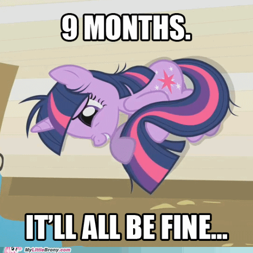 my little pony,twilight sparkle,pregnant,meme,memes,funny,9 months
