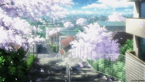 sakura,anime scenery,sakura tree,highschool of the dead,cherry blossoms,high school of the dead,beautiful,scenery,episode 8 btw,cartoons comics