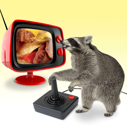 laugh,funny,lol,video games,illustration,graphic design,creative,dennys,atari,clever,diner,racoon,controller,8 bit