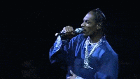 original gangster,up in smoke tour,rap,rapper,snoop dogg,dr dre,snoop doggy dogg,the next episode