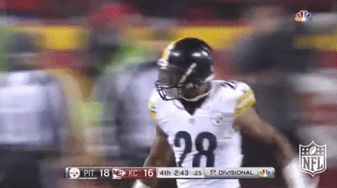 football,nfl,playoffs,steelers,pittsburgh steelers,nfl playoffs,divisional round,nfl divisional round,nfl playoffs 2017,sean davis,playoffs 2017