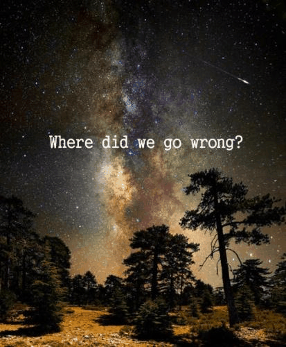 nighttime,midnight,shooting star,nature,space,text,stars,star,galaxy,trees,question,zoom,outer space,zoom effect,where did we go wrong