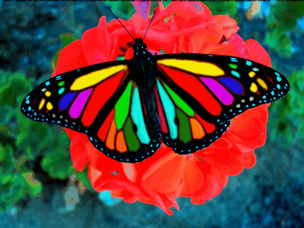 Разноцветные бабочки. Радужных бабочек. Красивые бабочки. Редкие бабочки. Бывают ли цветные