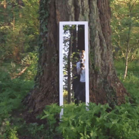 mirror,loop,woods