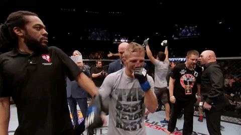 tj dillashaw,ufc,tuf,the ultimate fighter redemption,the ultimate fighter,tuf 25