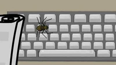 typing,computer,spider