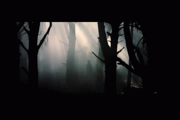 forest,dark,movies,movie,trees,evil dead,e,movie links,new evil dead,camrip