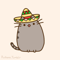 pusheen,mexico,cinco de mayo,sombrero