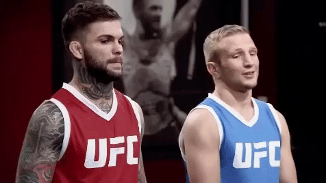 tj dillashaw,ufc,tuf,the ultimate fighter redemption,the ultimate fighter,cody garbrandt,tuf 25