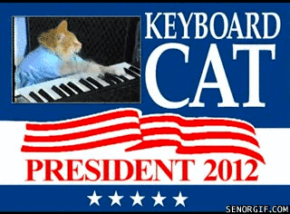 cat,animals,politics,president,the best,keyboard cat,keyboardcat,not convincing,the only candidate we endorse,plays keyboard