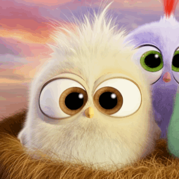 angry birds,mom,happy mothers day,cute,mothers day,hatchlings,angry birds movie,mothersday,adorbs