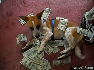 dog,money,upvote,hours,luck