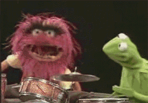 drummer,drumming,head bang,reactions,animal,mad,frustrated,upset,drums,the muppets