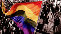 gay flag,queer as folk,gay,tranloveual,flag,lgbt,lesbian,biloveual,waving flag,6 colors