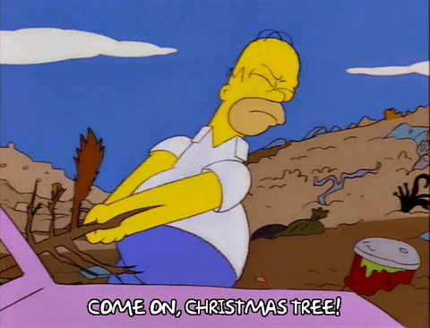 homer simpson,season 8,angry,tree,frustrated,episode 22,dump,8x22