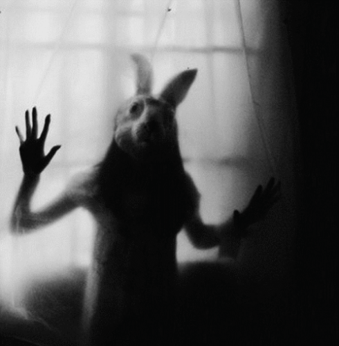 black and white,girl,horror,rabbit