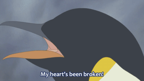 penguin,heartbreak