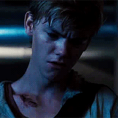 the maze runner,thomas sangster,newt,thomas brodie sangster,maze runner,love actually,the scorch trials,nowhereboy