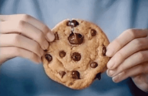 cookie,melt,food,chocolate,break