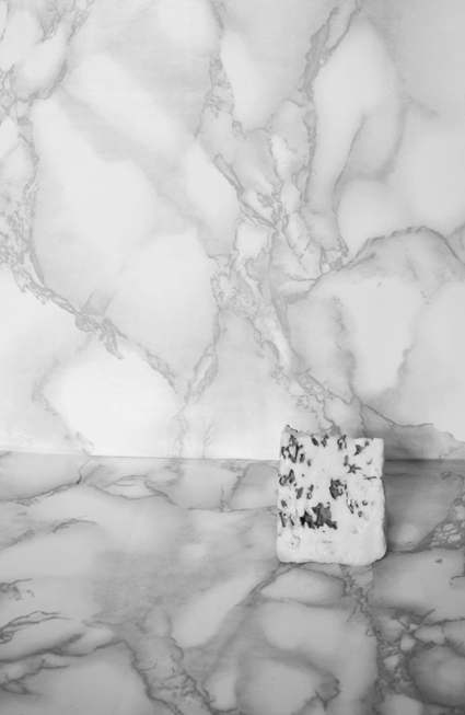 roquefort,still life,cheese,art,black and white,photography,marble,sandra gramm,dancing food