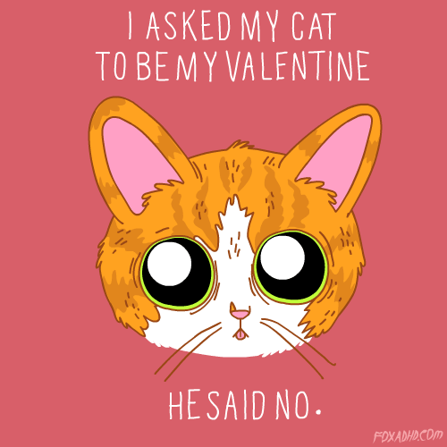 valentines day,cat,cute,lol,fox,animation domination,fox adhd,kitten,kitty,parker jackson,animation domination high def