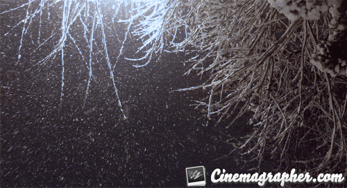 snow,winter,woods,snowing,cinemagraphy,whitechristmas