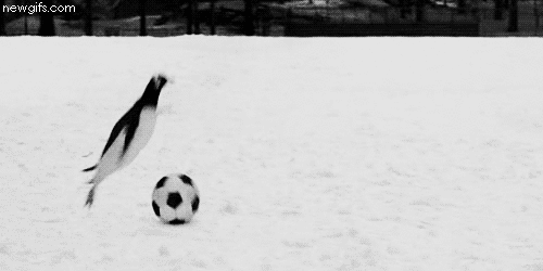 cold,soccer,winter,penguin,slide