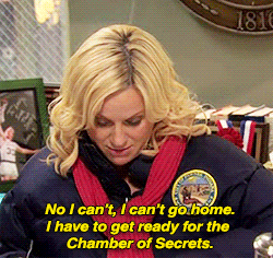 tv,parks and recreation,amy poehler,leslie knope