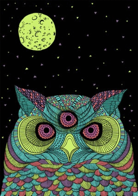 psychedelic,owl,third eye,psychedelics,art,trippy,nature,animal,drugs,colorful,bird,tripping