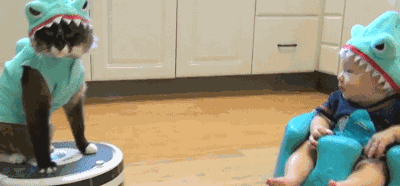 shark,cat,outfit,toddler,roomba