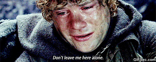 lord of the rings,dont,dont leave me here alone