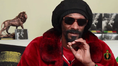 Snoop Dogg Rape