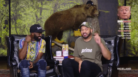 funny,lol,reactions,laughing,duck,hiding,desus and mero,hide,duck and cover