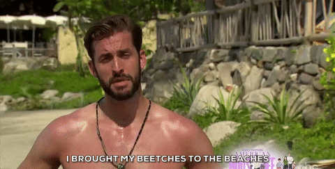 season 3,episode 9,bachelor in paradise,bip,brett,i brought my beetches to the beaches